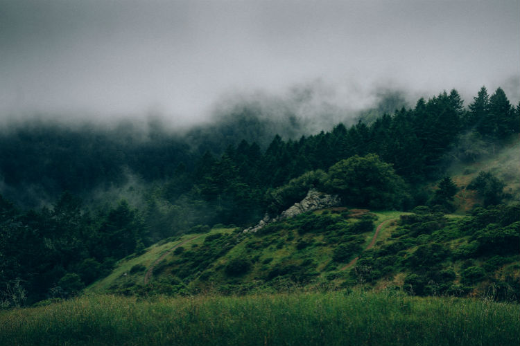 手机号狂轰滥炸软件